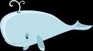 whale