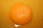 egg yolks
