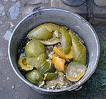 pig intestines