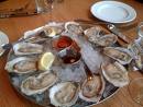 salty oyster