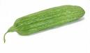 bitter gourd