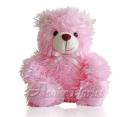 Pink soft Bear
