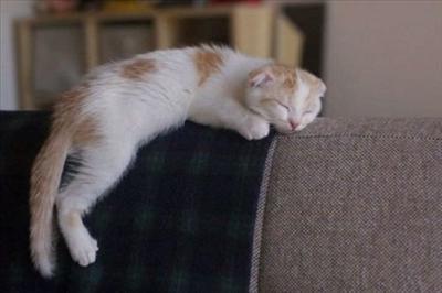 Sleeping