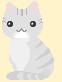 Grey Cat