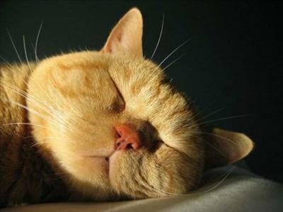Sleeping
