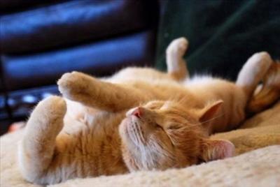 Sleeping