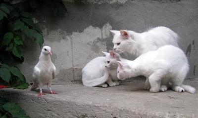 We'll eat ya!