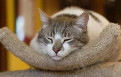 Sleeping