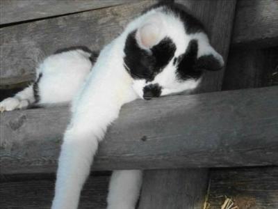 Sleeping