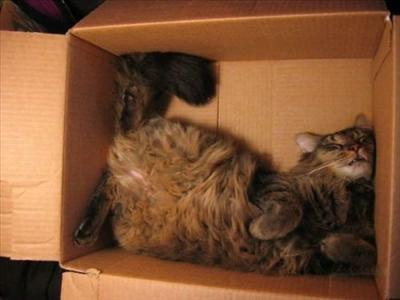 Sleeping