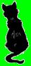 Black Cat