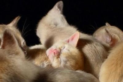 Sleeping