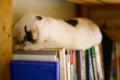 Sleeping