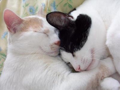 Sleeping