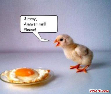 chicken