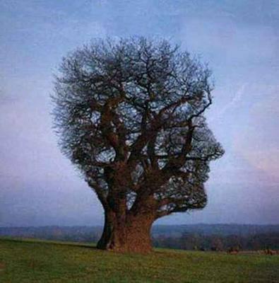 illusion