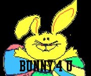 Bunny