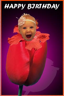 Birth day card