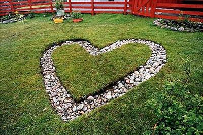 Heart 1