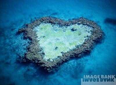 Heart 8