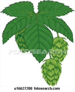 hops