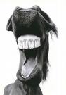 DOnkey
