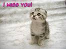 Miss you.