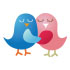 Bird Hug