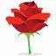 Red Rose