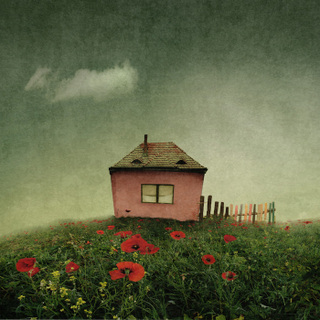 Nice House