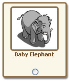 Elephant Baby