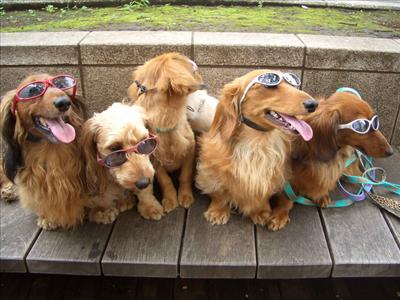 We are family!
