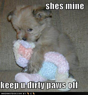 No touch puppy