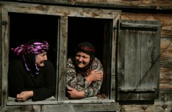 Dedikoducu Teyze