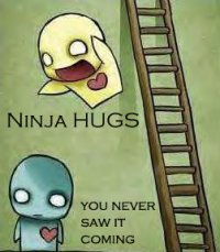 ninja hugs