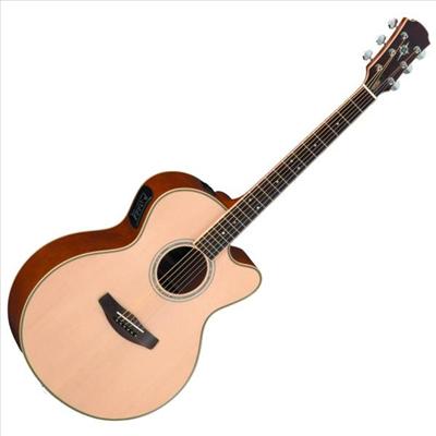 Folk Guitar