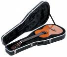 Guitar case