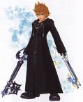 Organization 13 Roxas
