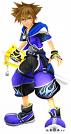 Sora in Wisdom form