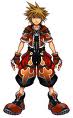 Sora in valor form