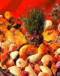 NOVRUZ TEPSİ 15