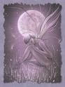 fairy