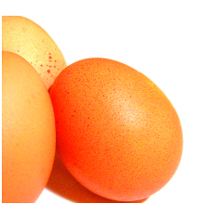 Eggs