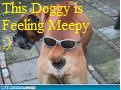 Doggy Feeling Meepy Ay :)