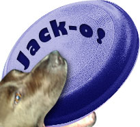 Jack's Blue Frisbee