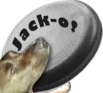 Jack's Black Frisbee