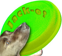 Jack's Green Frisbee!