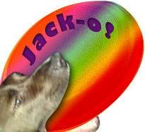 Rainbow Frisbee!