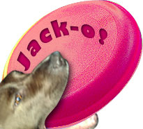 Jack's Pink Frisbee