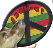 Rasta Frisbee!